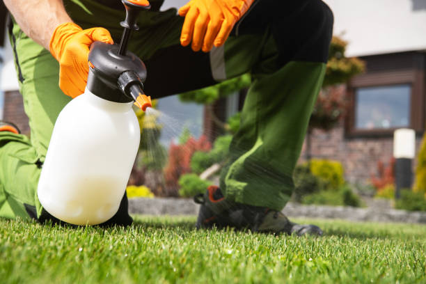 Pest Prevention Services in Aberdeen, SD