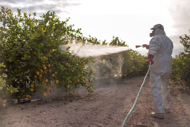 Best Local Pest Control Services  in Aberdeen, SD