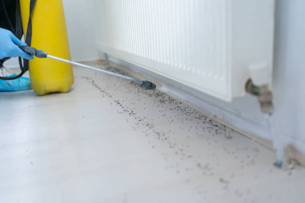 Trusted Aberdeen, SD Pest Control Experts